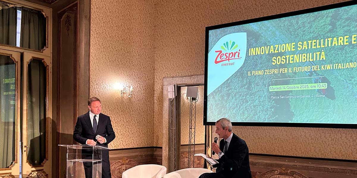 Morìa del kiwi, 8.000 ettari persi in Italia: Zespri risponde con l'innovazione